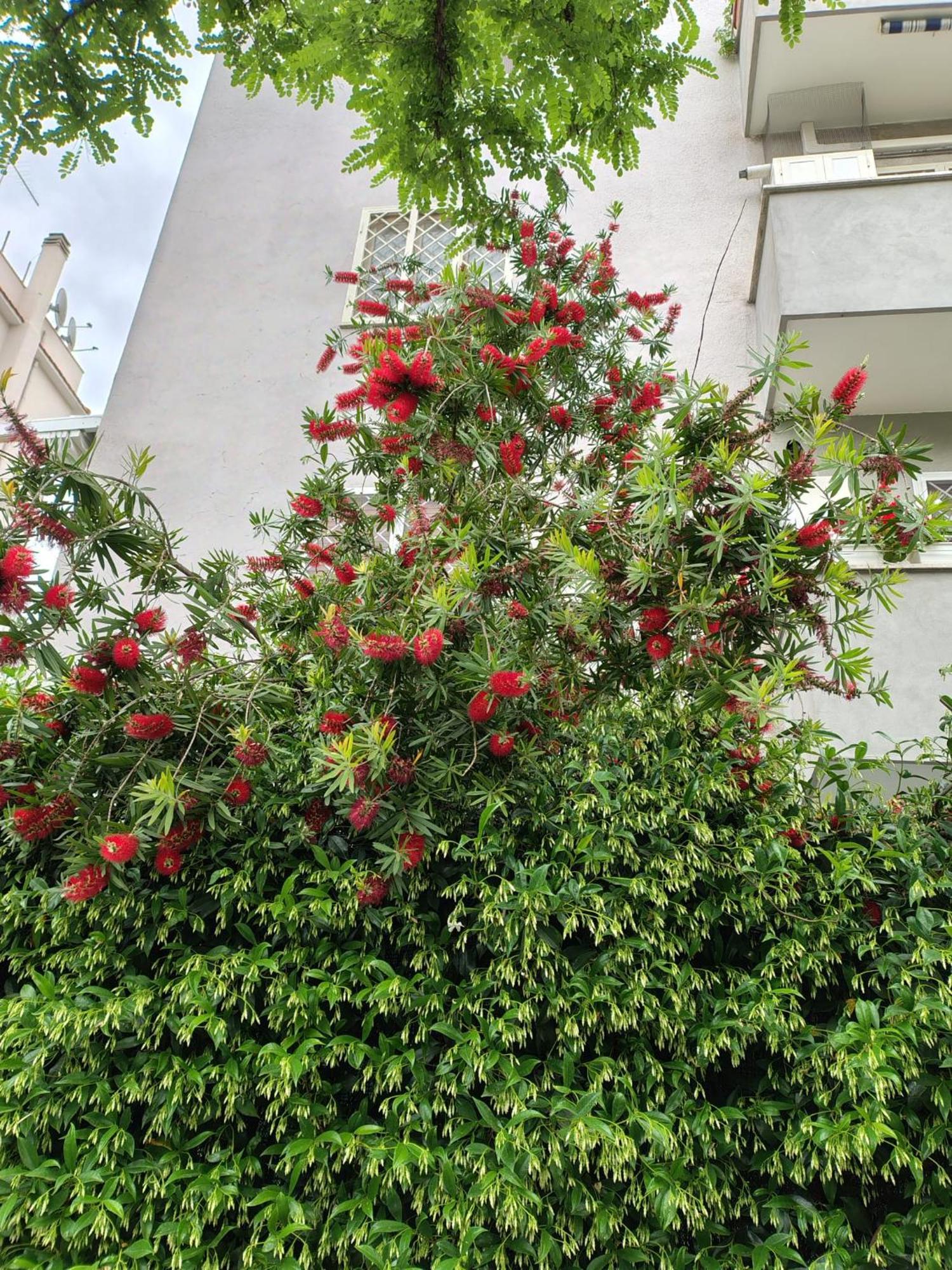 Il Pozzo Apartment Rome