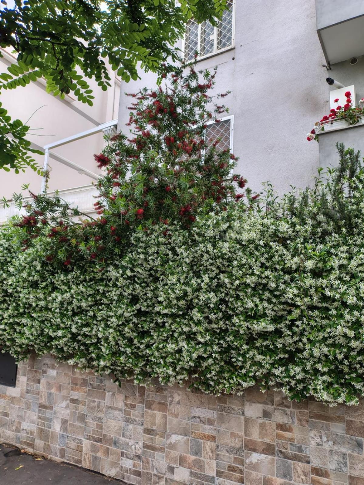 Apartment Il Pozzo *